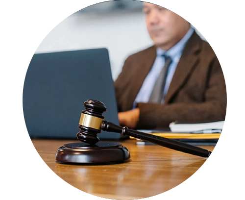 Immigration Law
